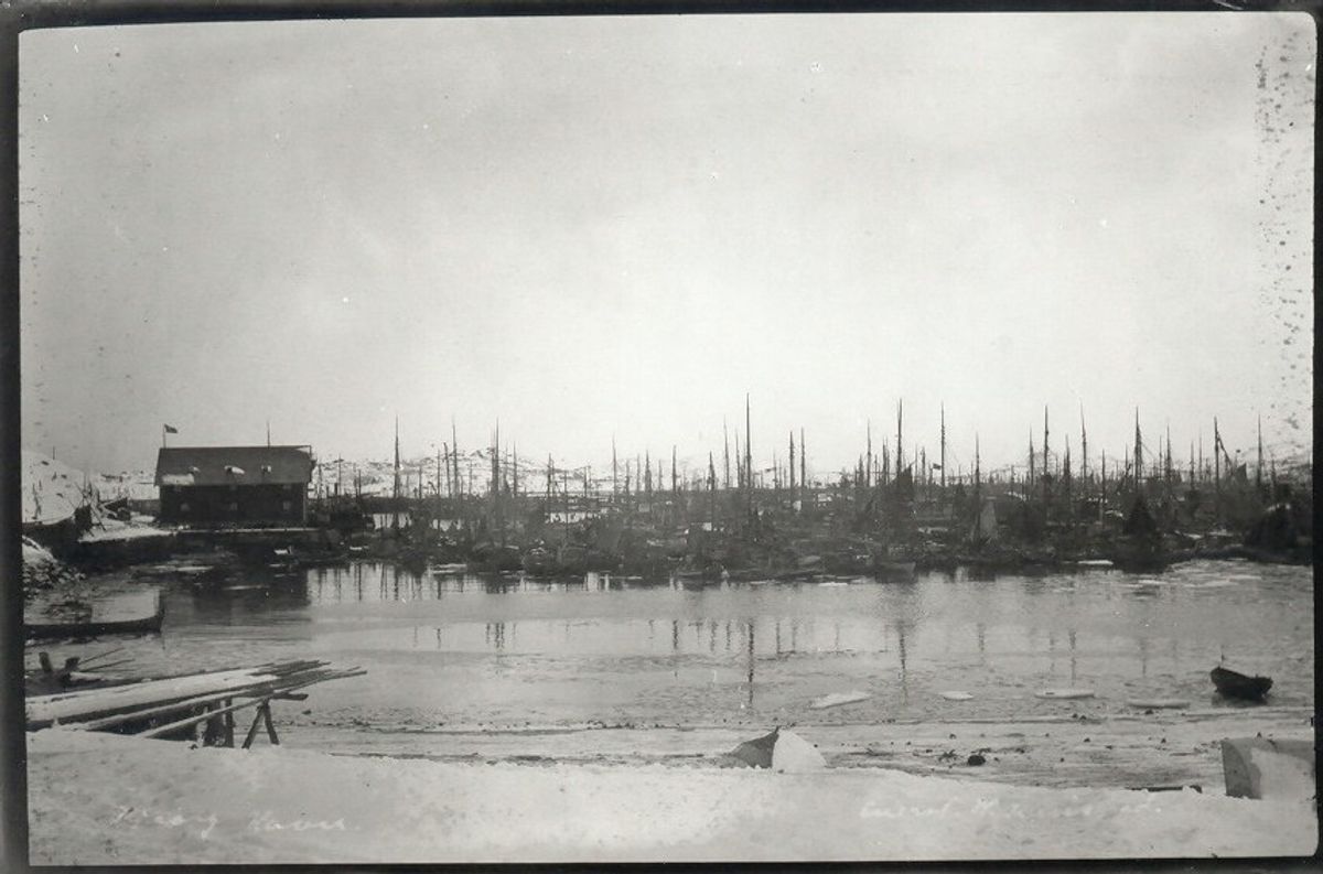 Full at the harbour, 1905